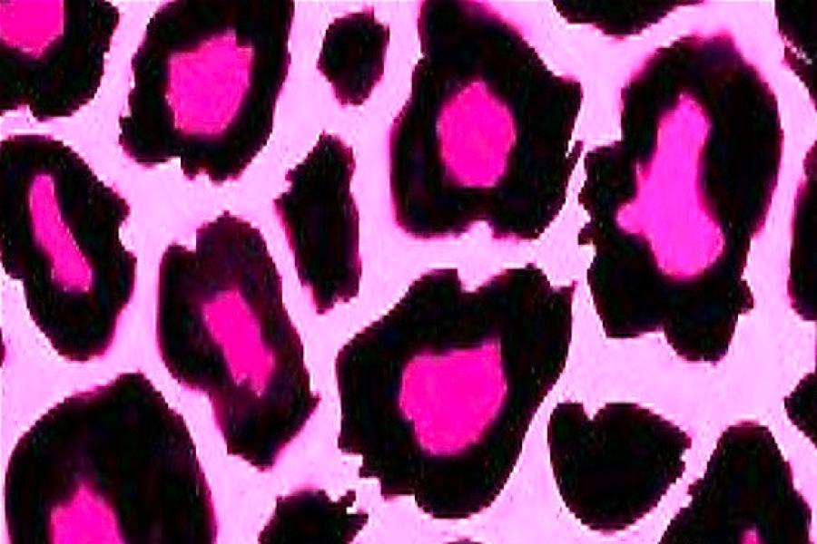 Leopard print background with being slaggy written on it. All in pink.