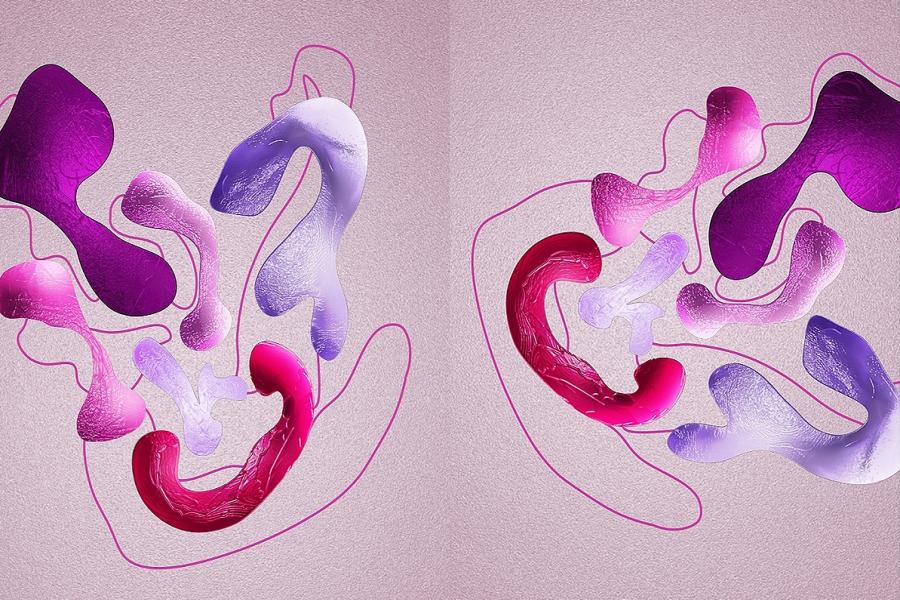 A series of pink, purple, and blue shapes arranged roughly to look like a love heart, displayed on a light pink background.