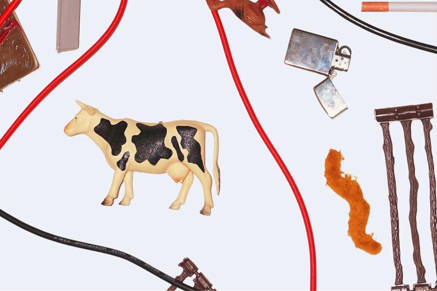 Poster on an off-white background, containing a plastic toy cow with both horns and udders, a metal lighter, fake cigarette, a ginger moustache, plastic toy fence, part of a plastic toy trough, black microphone wire and red bungee cord scattered around.