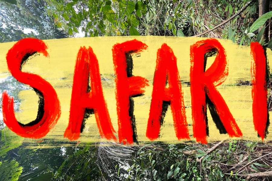A tropical rainforest filled with greenery, with a bright red title in the middle that reads 'SAFARI' and some yellow shading. 