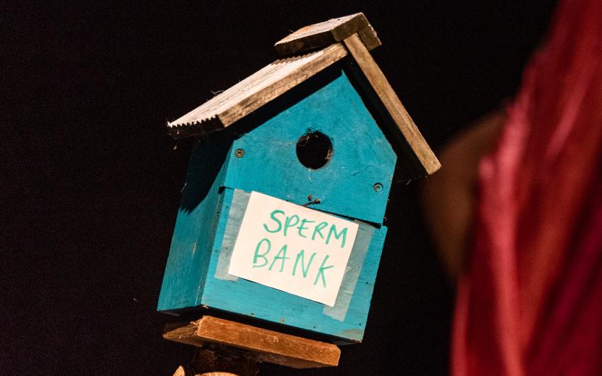 Close up of a wooden bird house with the words 'sperm bank' written on it in marker pen