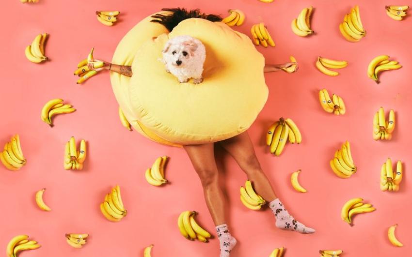 Pink background, pairs of bananas dotted around the floor and a yellow beanbag in the centre, with a someone's legs sticking out. There is a dog sat ont he beanbag looking up to the camera